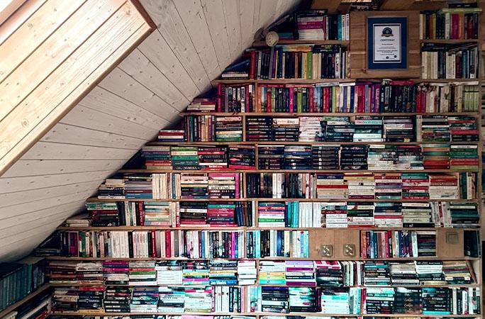30 млн рублей на книжных полках: полька установила рекорд, собирая автографы