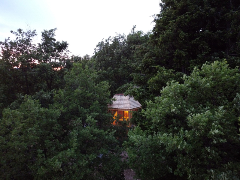 Домик-ящик на дереве TreeBOX Cabin в Альпизелле, Италия