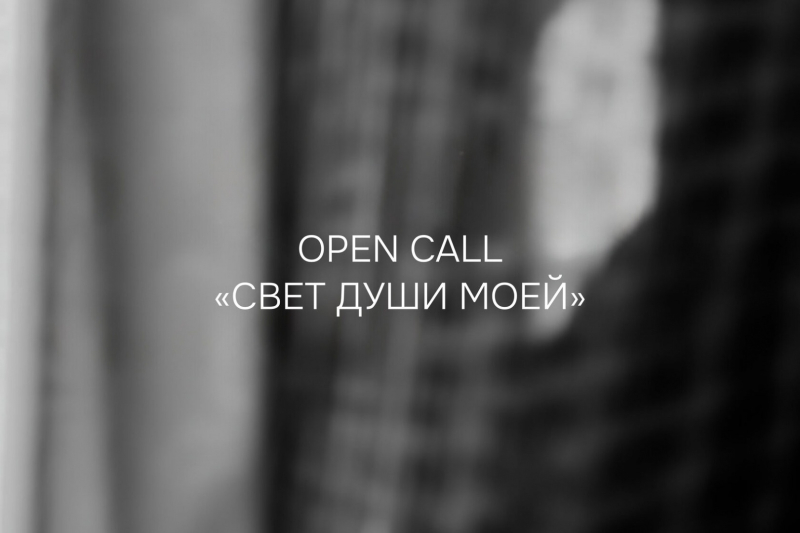 Галерея ПАЛАТЫ запустила опен-колл для авторов