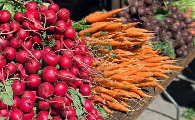 Логистика на Украине рухнула, и теперь продуктовые магазины стоят пустыми