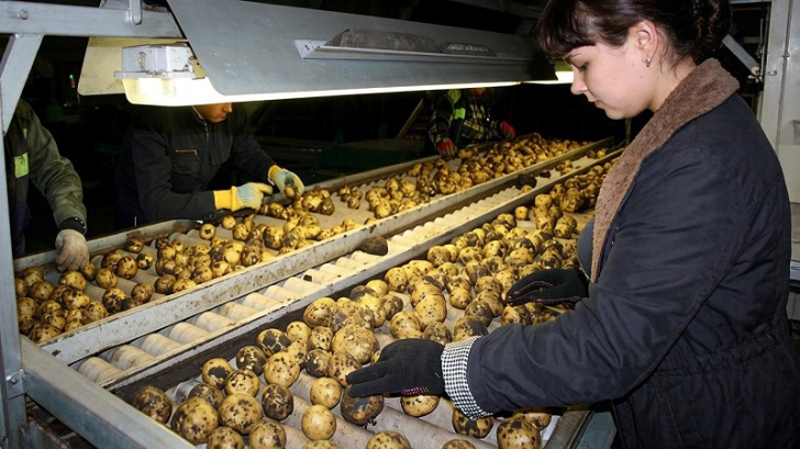Почему продукты рекордно дорожают? Уловки торговых сетей бьют по всем